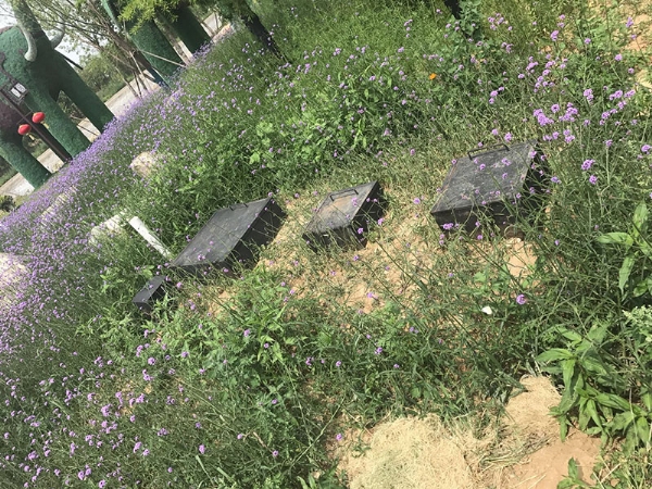 重慶養殖場污水